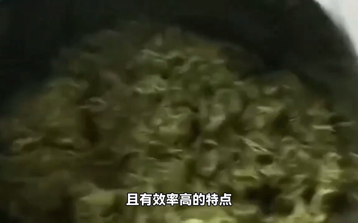 家用小型双臂揉茶机提升茶饮体验哔哩哔哩bilibili