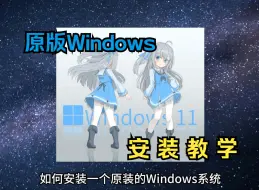 Download Video: 原版Windows安装 - 以Win11为例