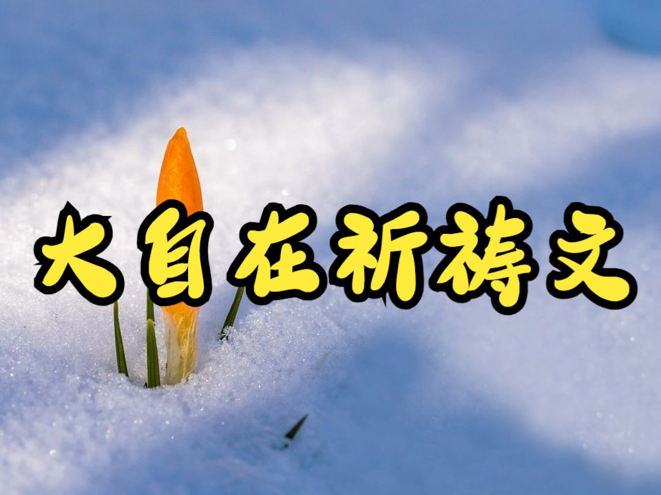 [图]大自在（怀业）祈祷文 慈诚荣博版