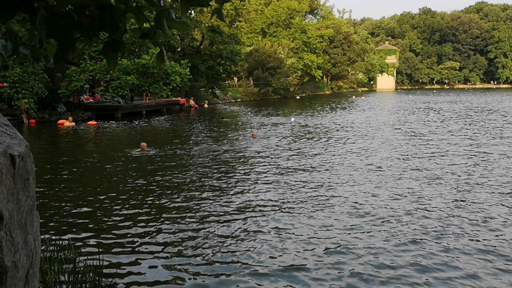 南京紫霞湖游泳晨练