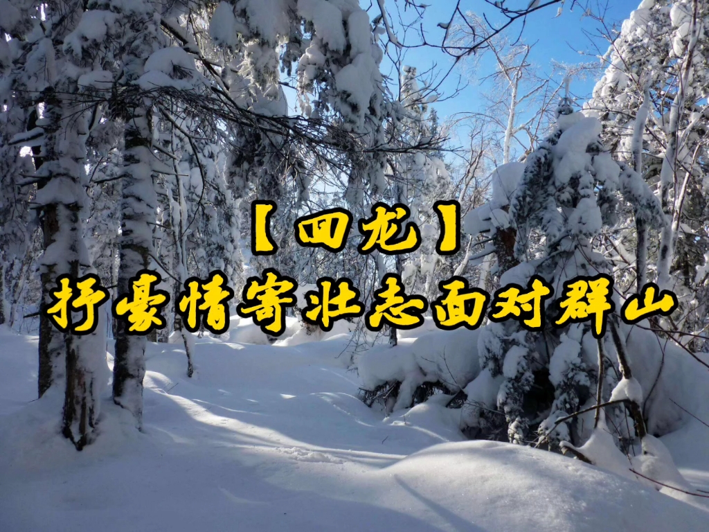 【京剧】智取威虎山 打虎上山 伴奏哔哩哔哩bilibili