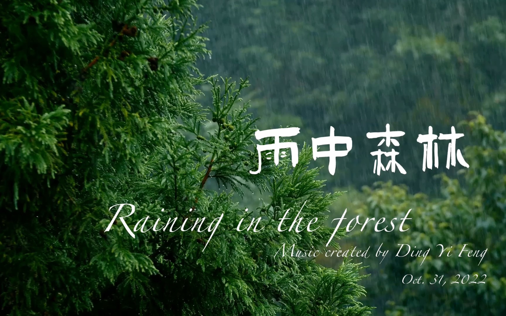 【疗愈系】雨中森林|raining in the forest