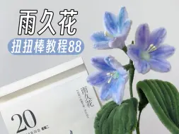 Download Video: 雨久花扭扭棒教程