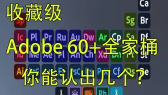 【中文配音】Adobe全家桶大揭秘！60+款软件到底哪个干啥的？99%的人都搞混了！