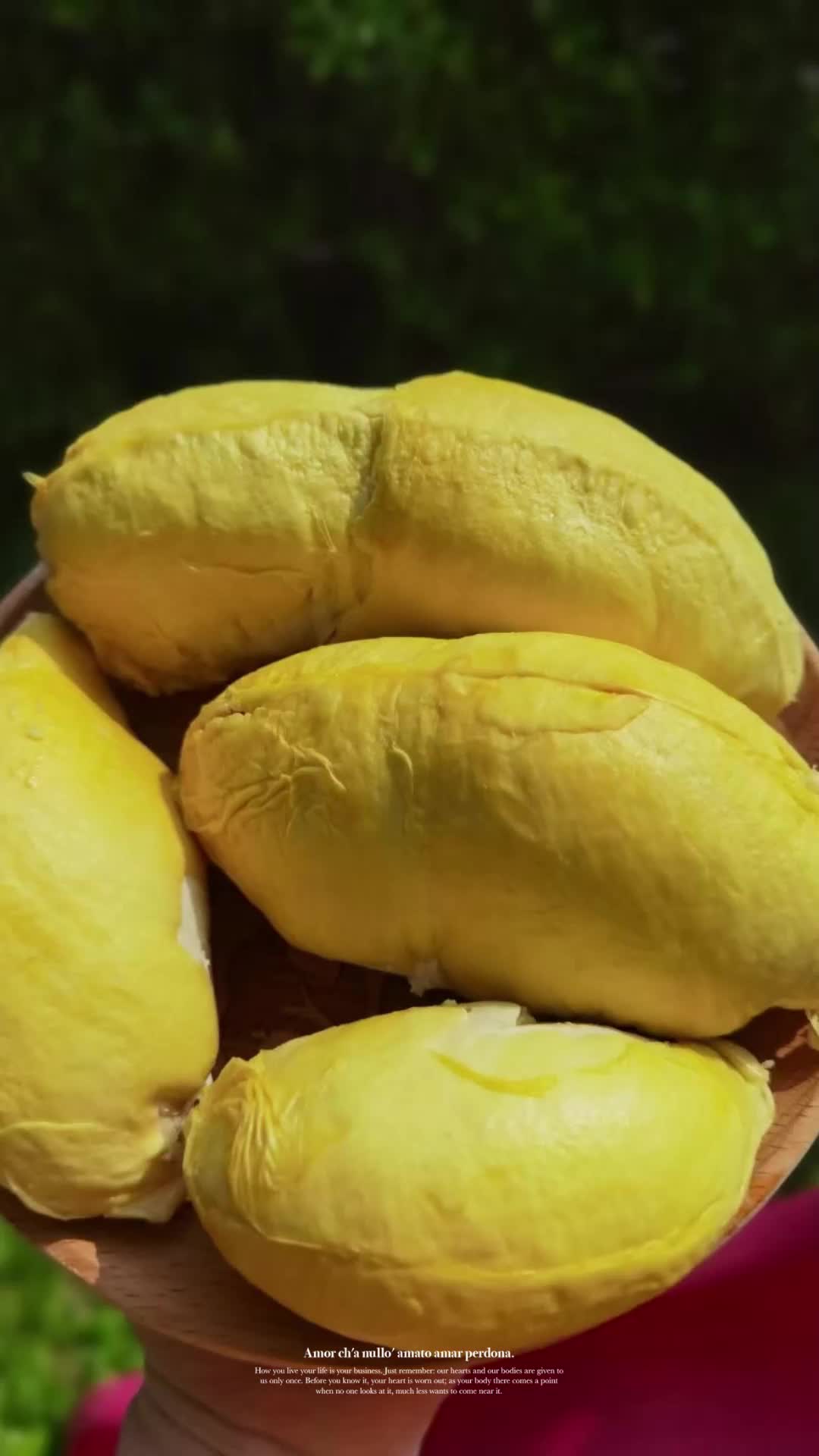 东南亚百香果-小韦-东南亚百香果-小韦-哔哩哔哩视频