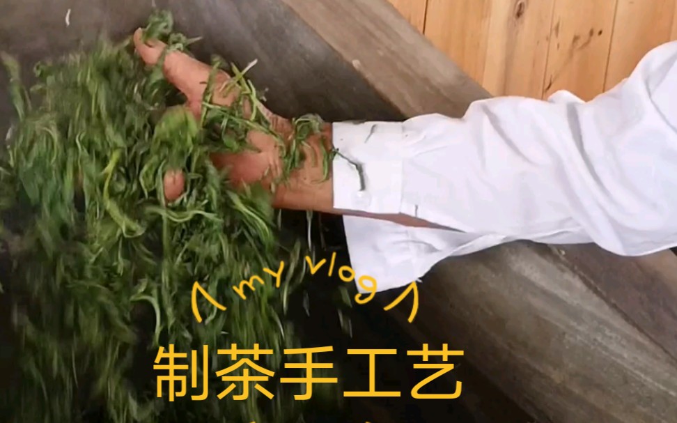 回龙茶手工制作过程