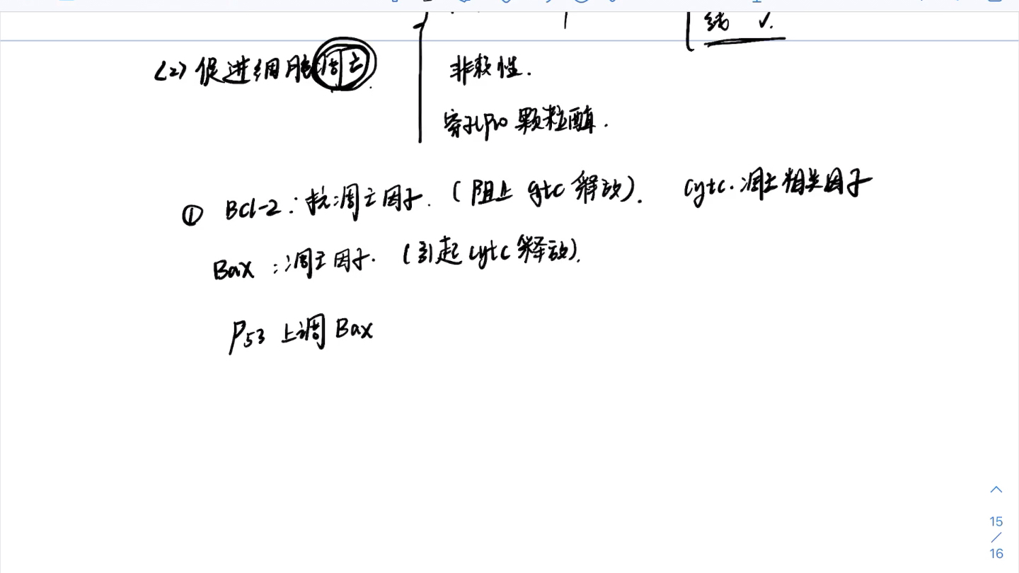 p53蛋白的功能哔哩哔哩bilibili