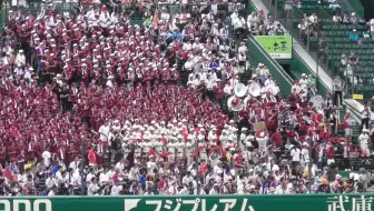 福知山成美高校の応援歌 高校野球bgm 京都府代表 19センバツ甲子園ブラバン映像 哔哩哔哩 Bilibili