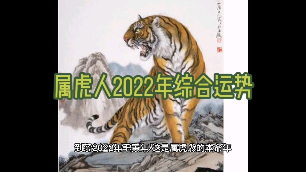 属虎人2022年综合运势,徐良奇门命理哔哩哔哩bilibili