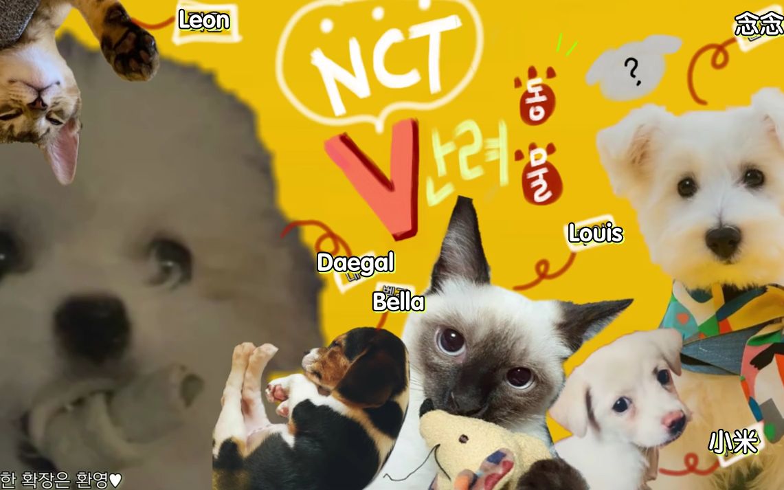 【NCT】NCT新分队NCTP(pets)哔哩哔哩bilibili