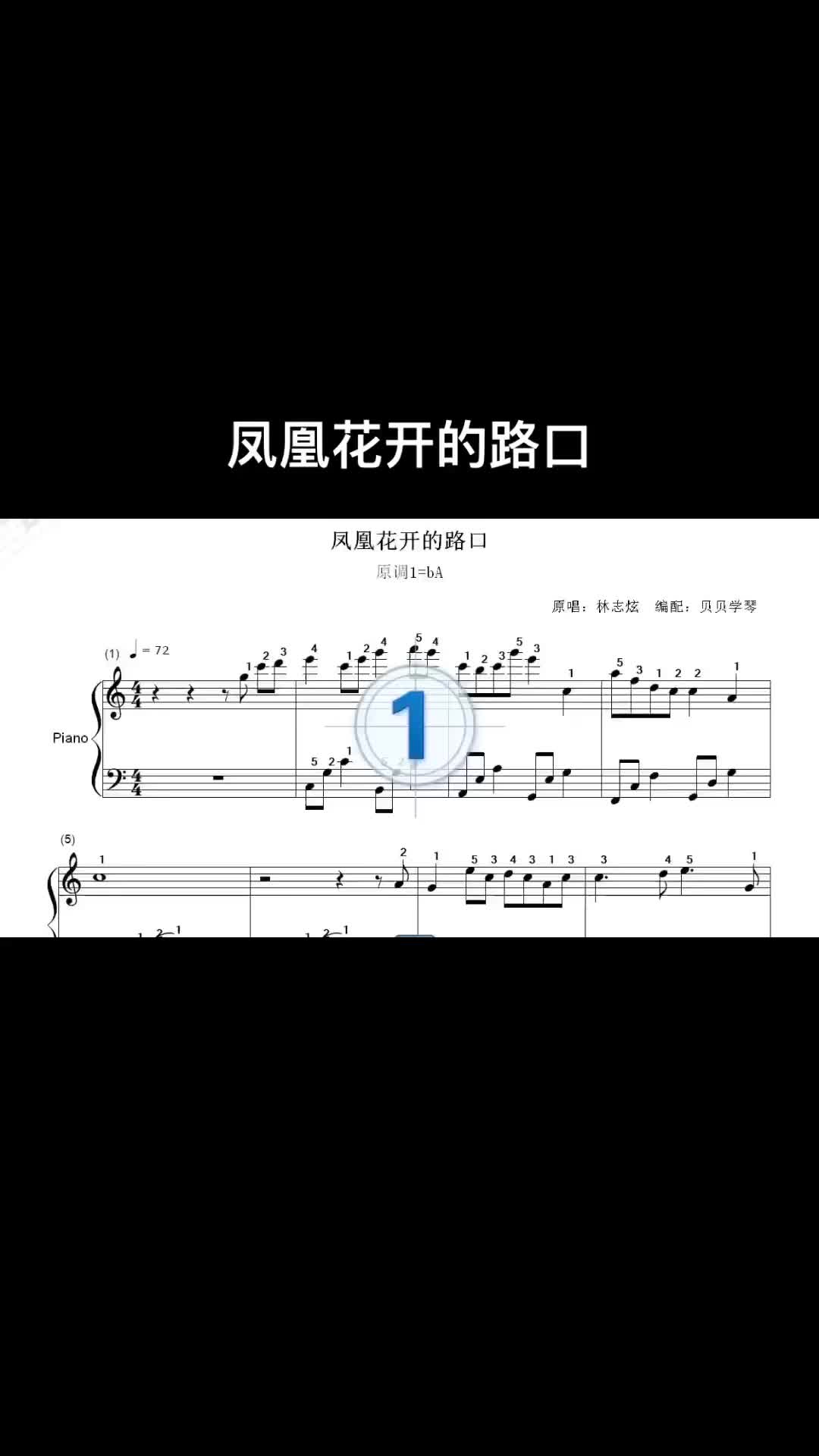 凤凰花开的路口钢琴曲图片