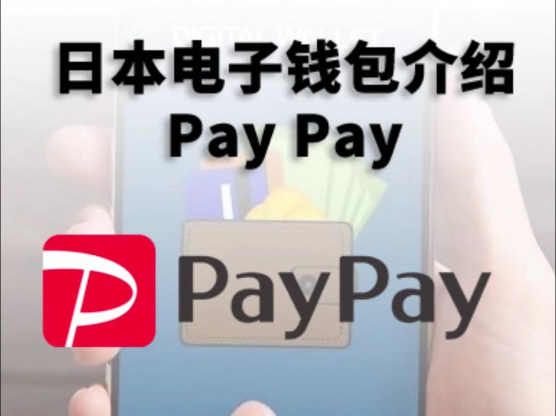 解读全球数字支付市场,日本电子钱包PayPay哔哩哔哩bilibili