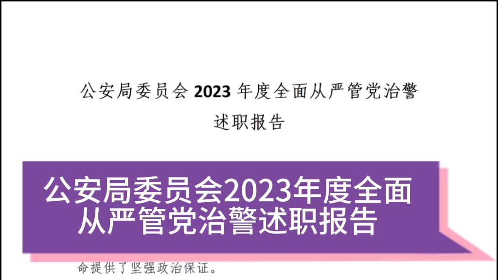 公安局委員會2023年度全面從嚴治黨治警述職報告