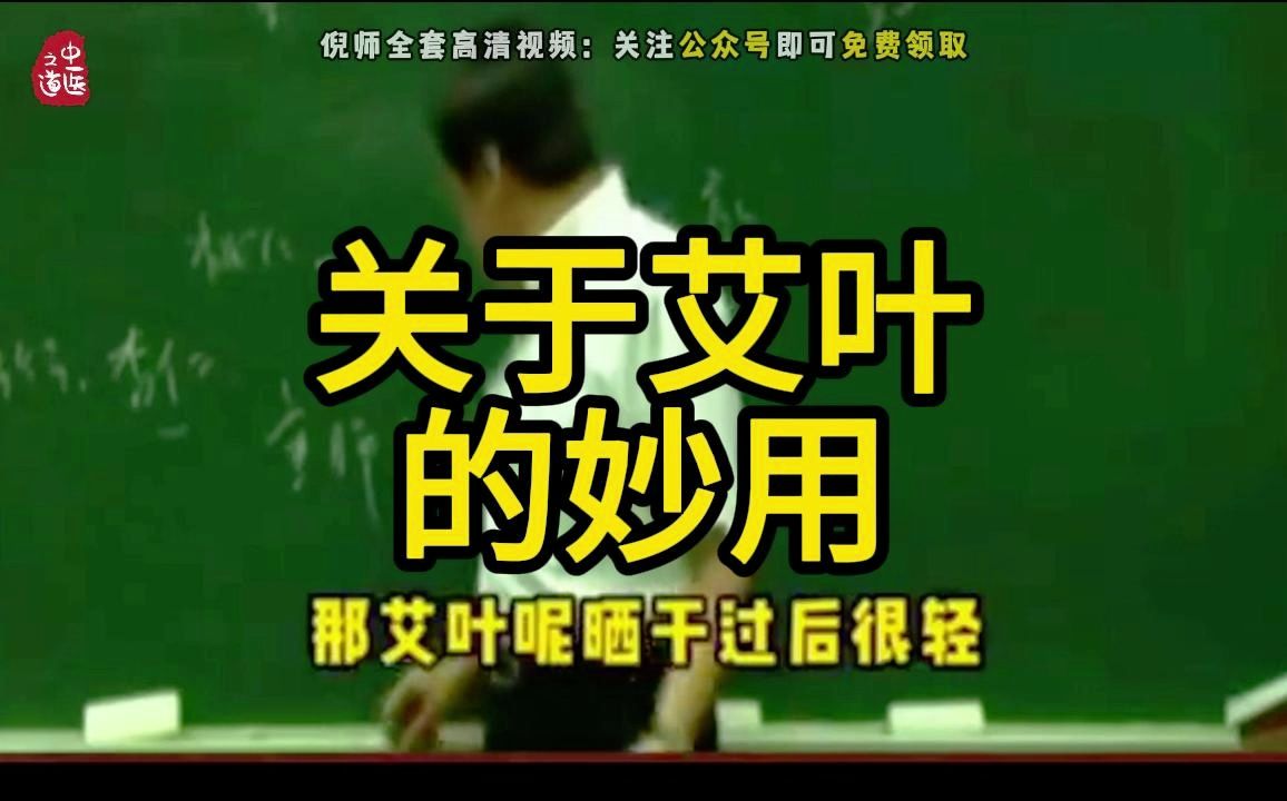 【艾叶】倪师讲艾叶的妙用,记得收藏转发哔哩哔哩bilibili