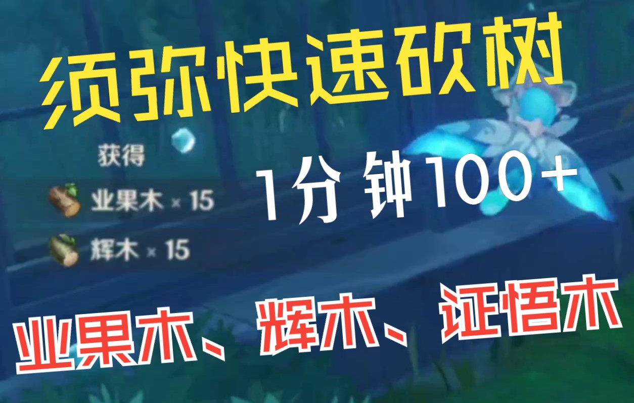 [图]原神须弥砍树1分钟100+！业果木、辉木、证悟木「王树瑞佑」