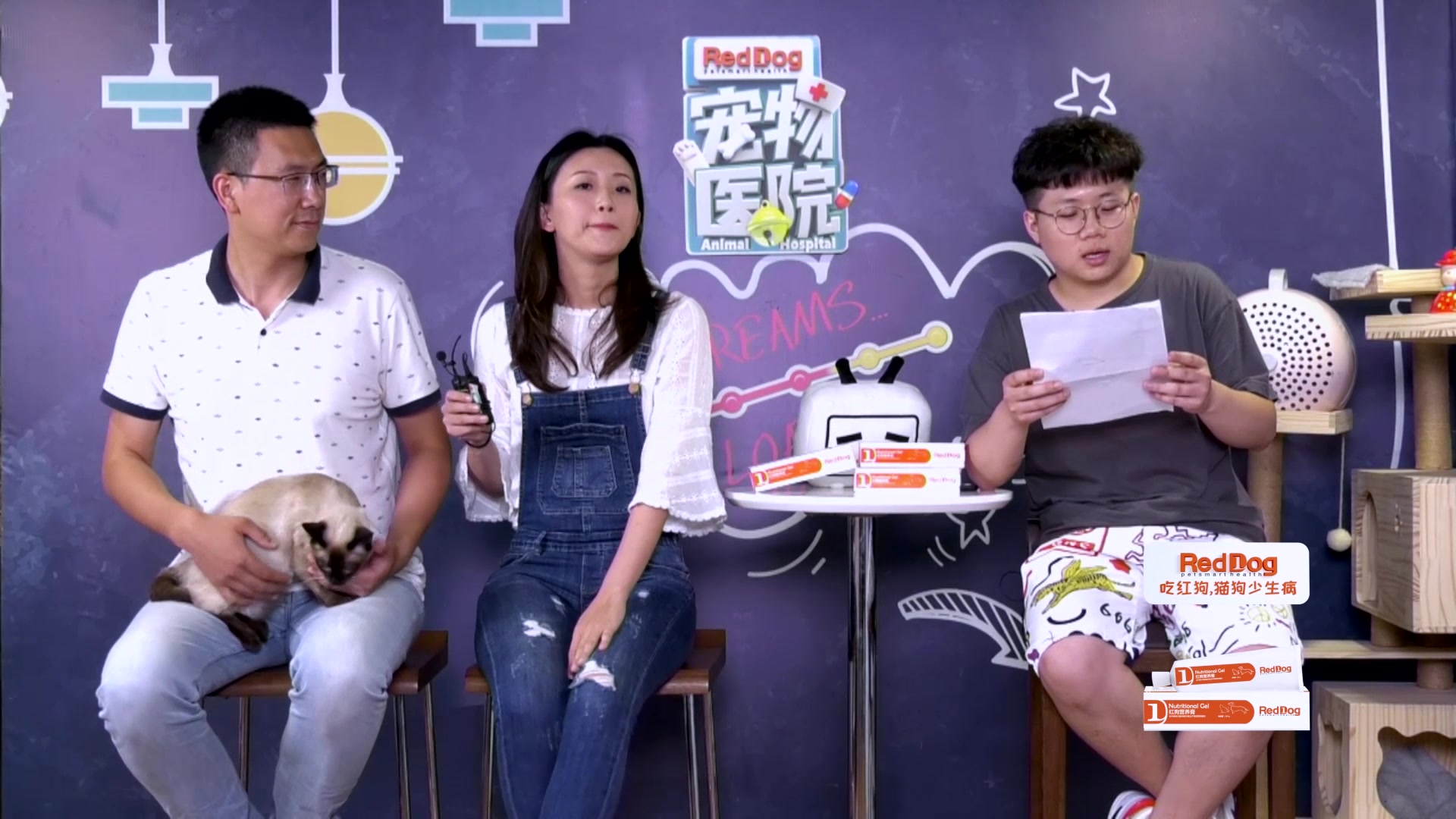 宠物医院直播问诊第8集