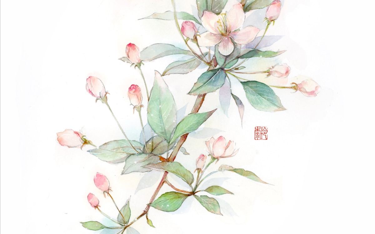 [lyna玲奈的水彩日记]第六十五期——小清新植物手绘带线稿海棠花