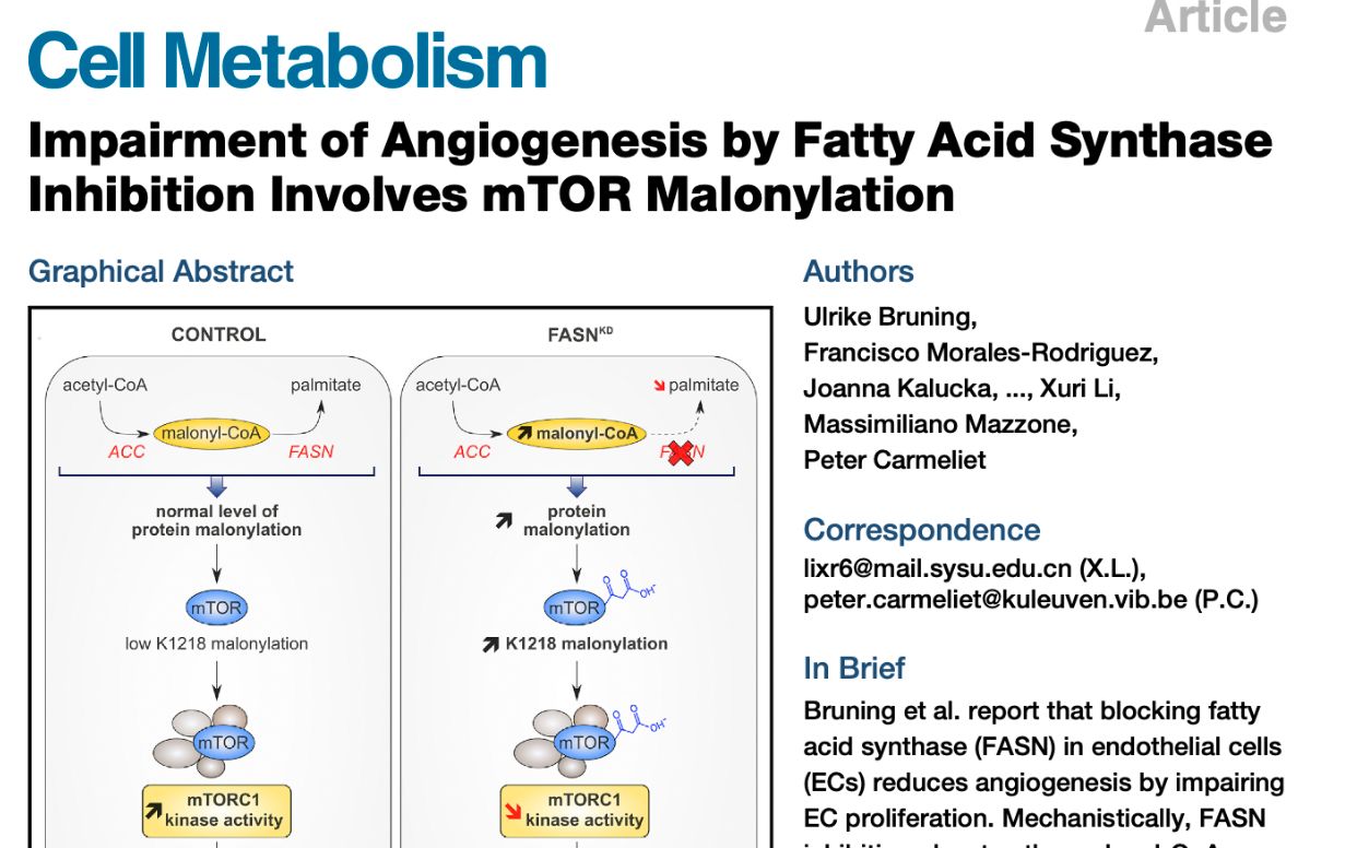 【文献阅读第九弹】FASN>malonylCoA积累>mTOR丙二酰化>细胞生长减慢哔哩哔哩bilibili