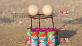实验：用“满地珍珠烟花”烤“鸡蛋”，能烤熟吗？