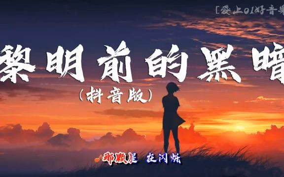 [图]黎明前的黑暗（抖音DJ）