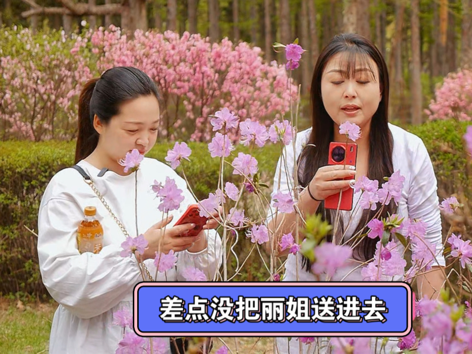 差点没把丽姐送进去