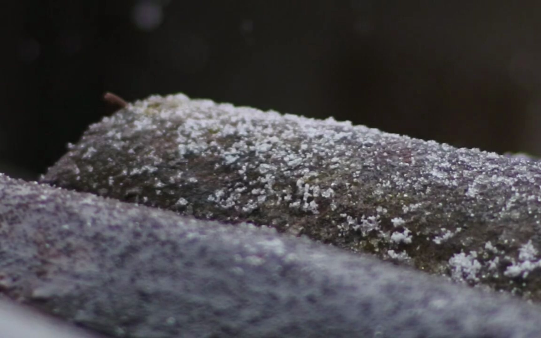 [图]夏天太热，快来避暑吧！德国优美空灵女声。音乐推荐1-落雪时分