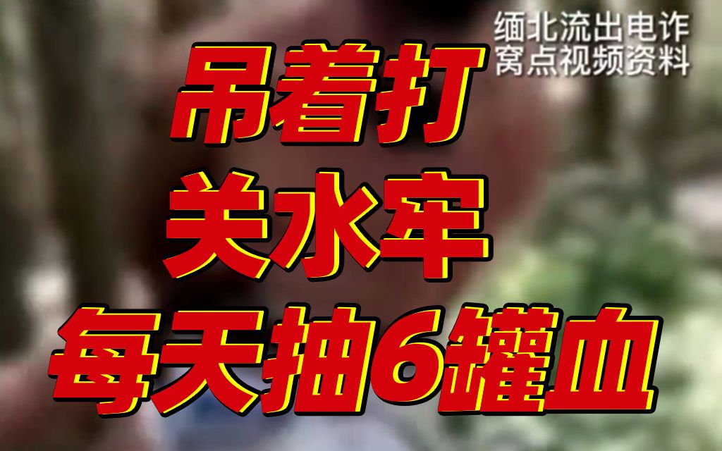 缅北电诈回流人员讲述地狱般经历：逃跑后被抓每天抽6罐血