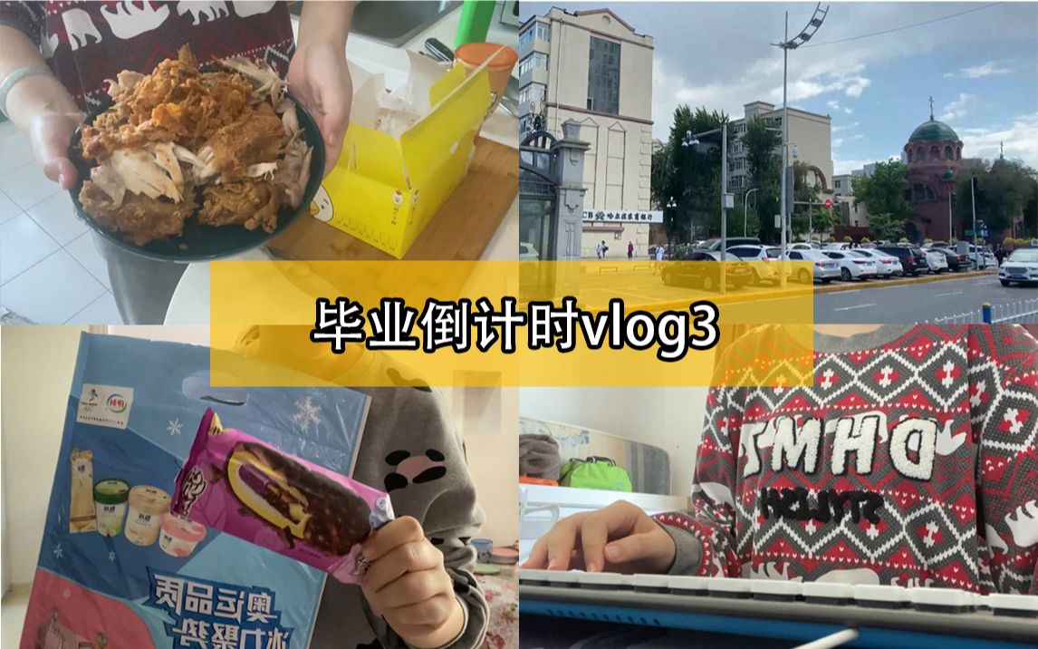 【哈工大本科毕业倒计时Vlog3】手撕炸鸡|制定今日计划|论文推进|读书|记录单身日记|读书|哈尔滨街道风光|超市大采购哔哩哔哩bilibili