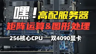 256核心512线程CPU矩阵运算和图形处理的服务器！AMD 双路9754 256核心CPU，768G内存，双4090 24G原版涡轮显卡，塔式高性能服务器！