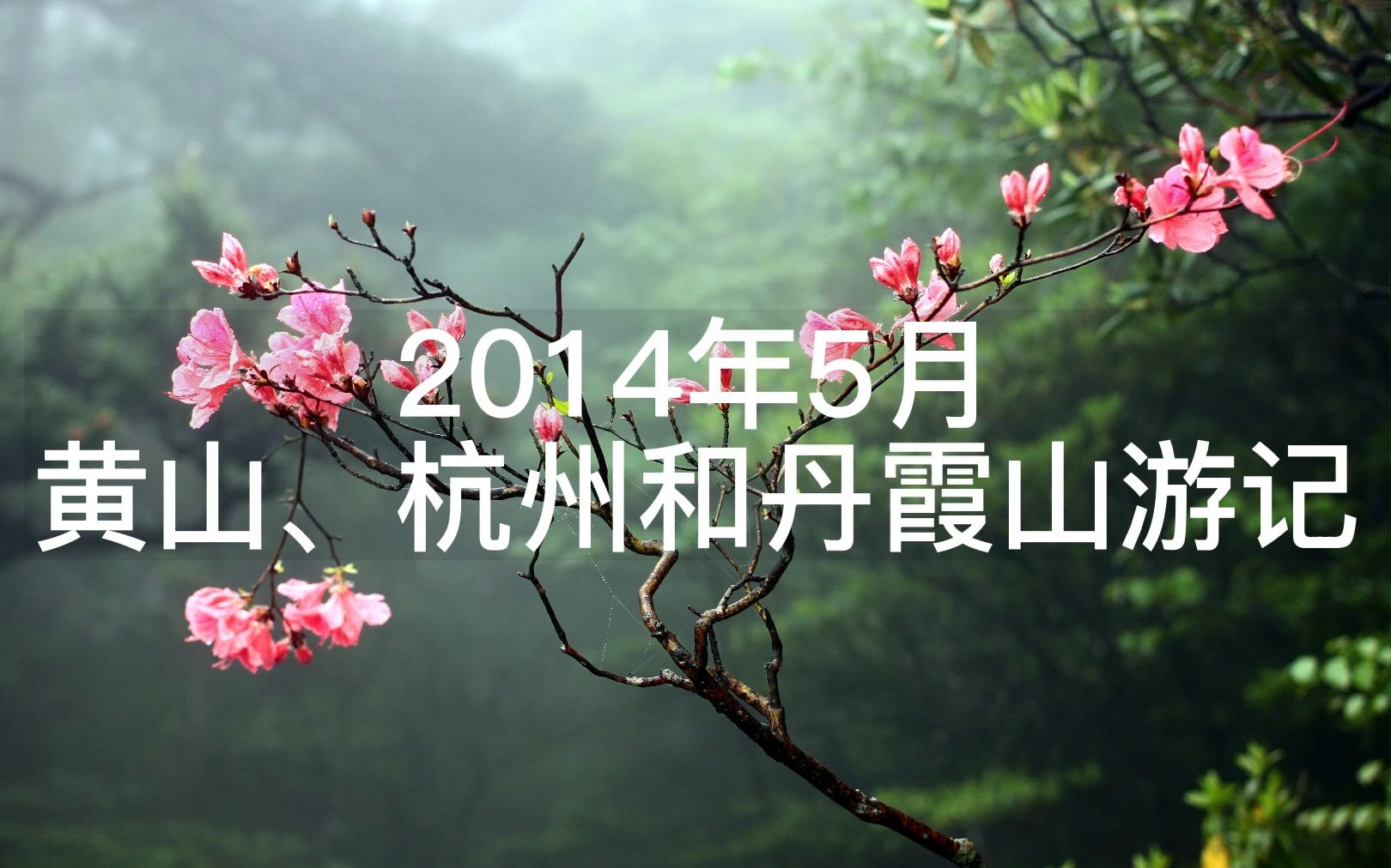 2014年黄山、杭州和丹霞山游记哔哩哔哩bilibili