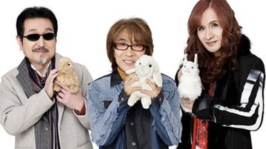 TOKIO】20th Anniversary Live Tour HEART_哔哩哔哩_bilibili