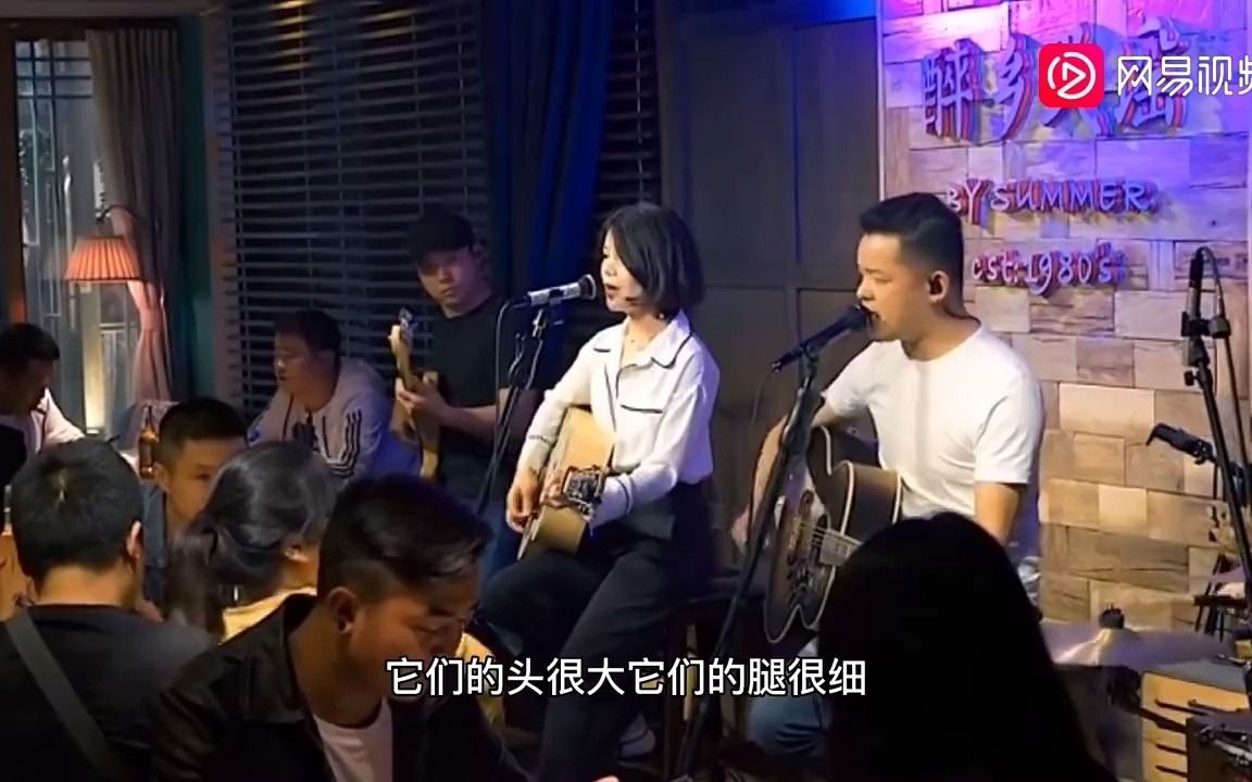 【夏天播放乐队合辑】100分钟抒情版,丽江醉乡民谣现场哔哩哔哩bilibili