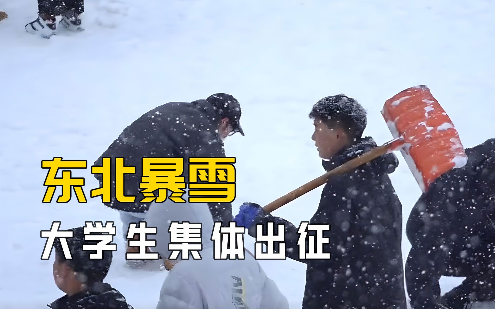 “特大暴雪”直击东北:大学生全体出征,各地强降雪下到发紫哔哩哔哩bilibili