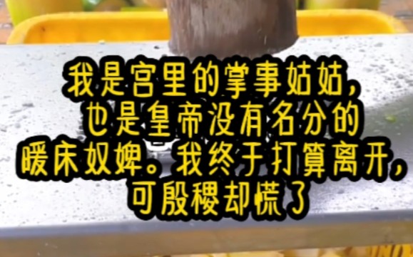 书名:《蓝田玉暖》我是宫里的掌事姑姑,也是皇帝没有名分的暖床奴婢.我终于打算离开,可殷稷却慌了哔哩哔哩bilibili