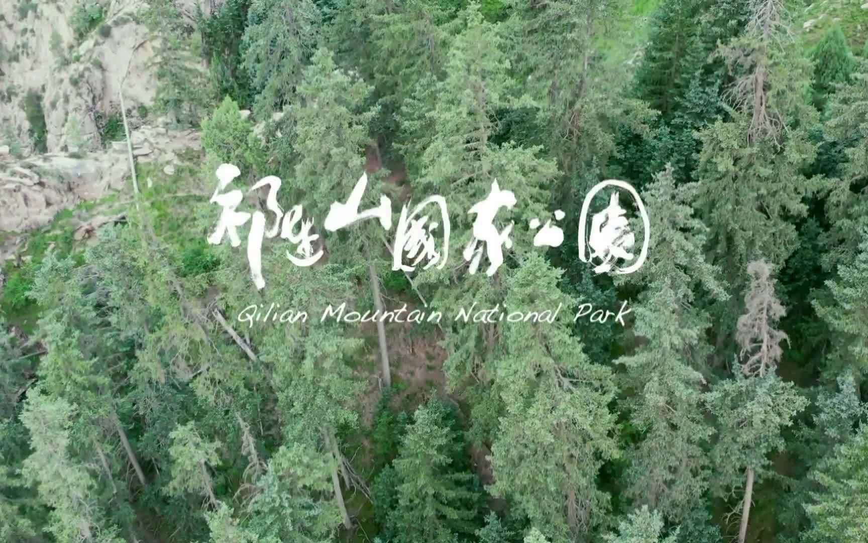 [图]纪录片《祁连山国家公园》全2集 1080P高清 国语中字