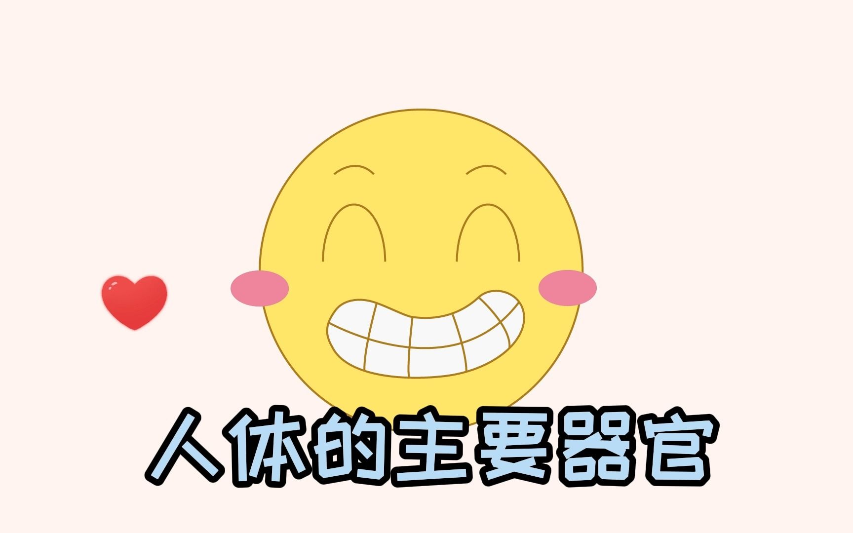 【儿童科普】人体的主要器官哔哩哔哩bilibili