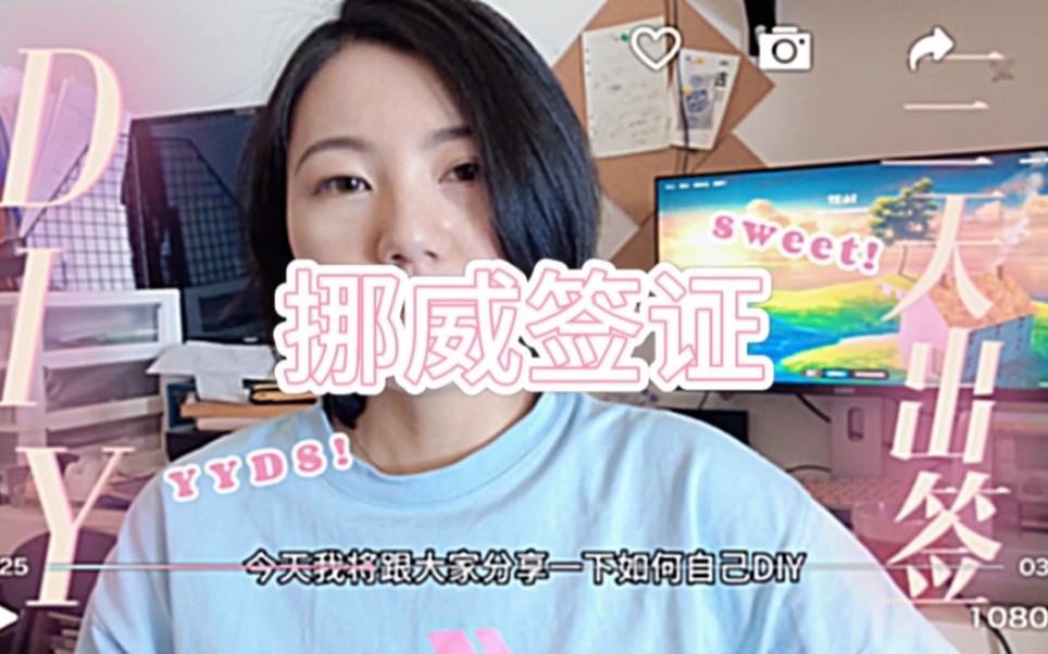 DIY三天挪威申根出签详细教程哔哩哔哩bilibili