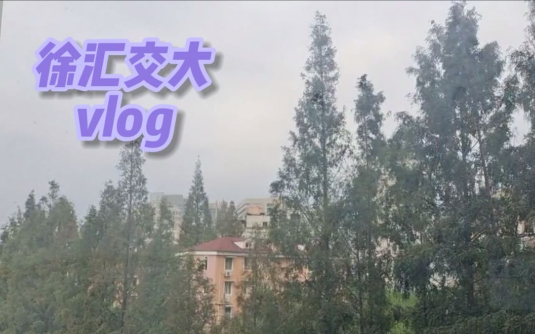 在交大徐汇校区过一天 | 上海交通大学哔哩哔哩bilibili