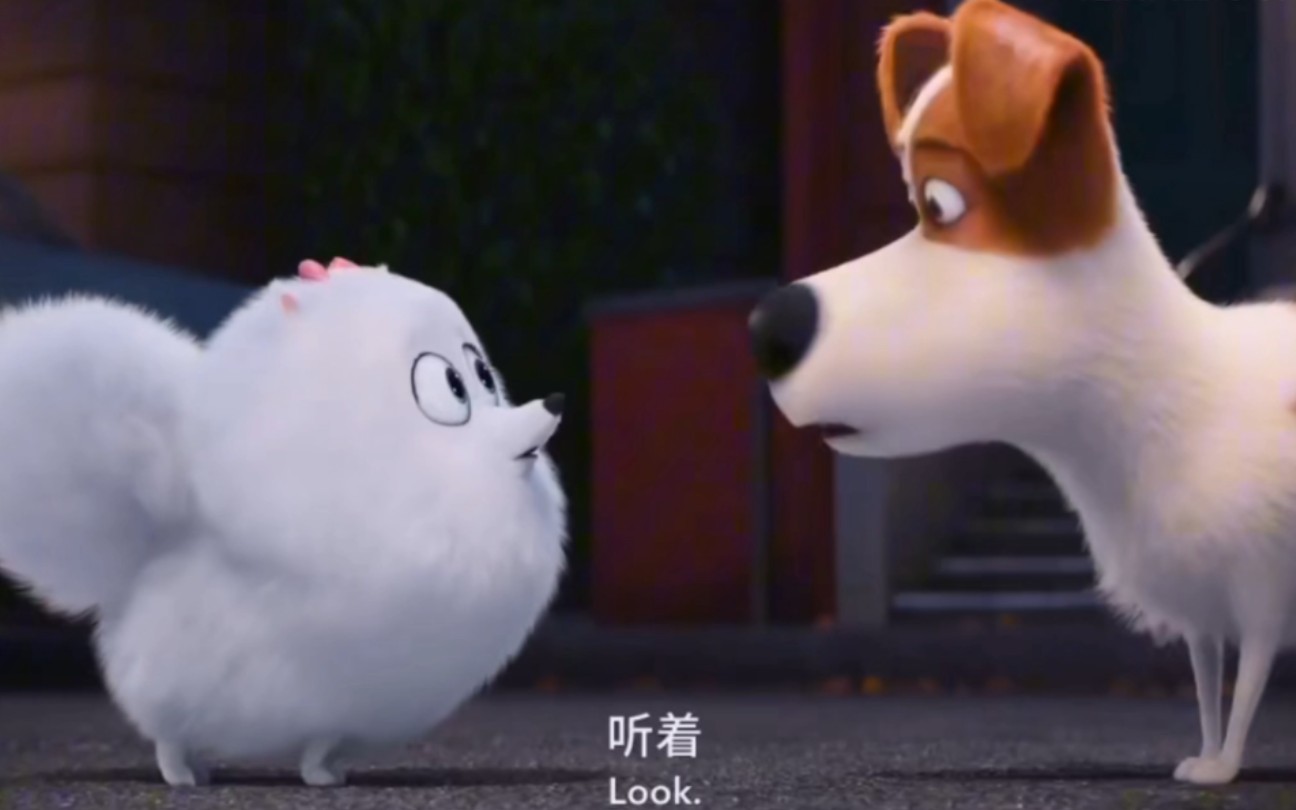 【英文配音消音视频】爱宠大机密 | 消音版 带英文字幕