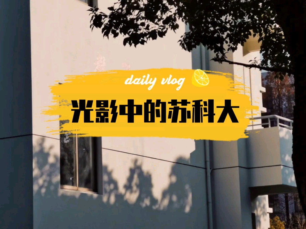 苏科大十二时辰哔哩哔哩bilibili