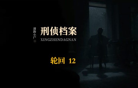 第4案:轮回 12 | 宋文和白洛芮的首次交锋哔哩哔哩bilibili