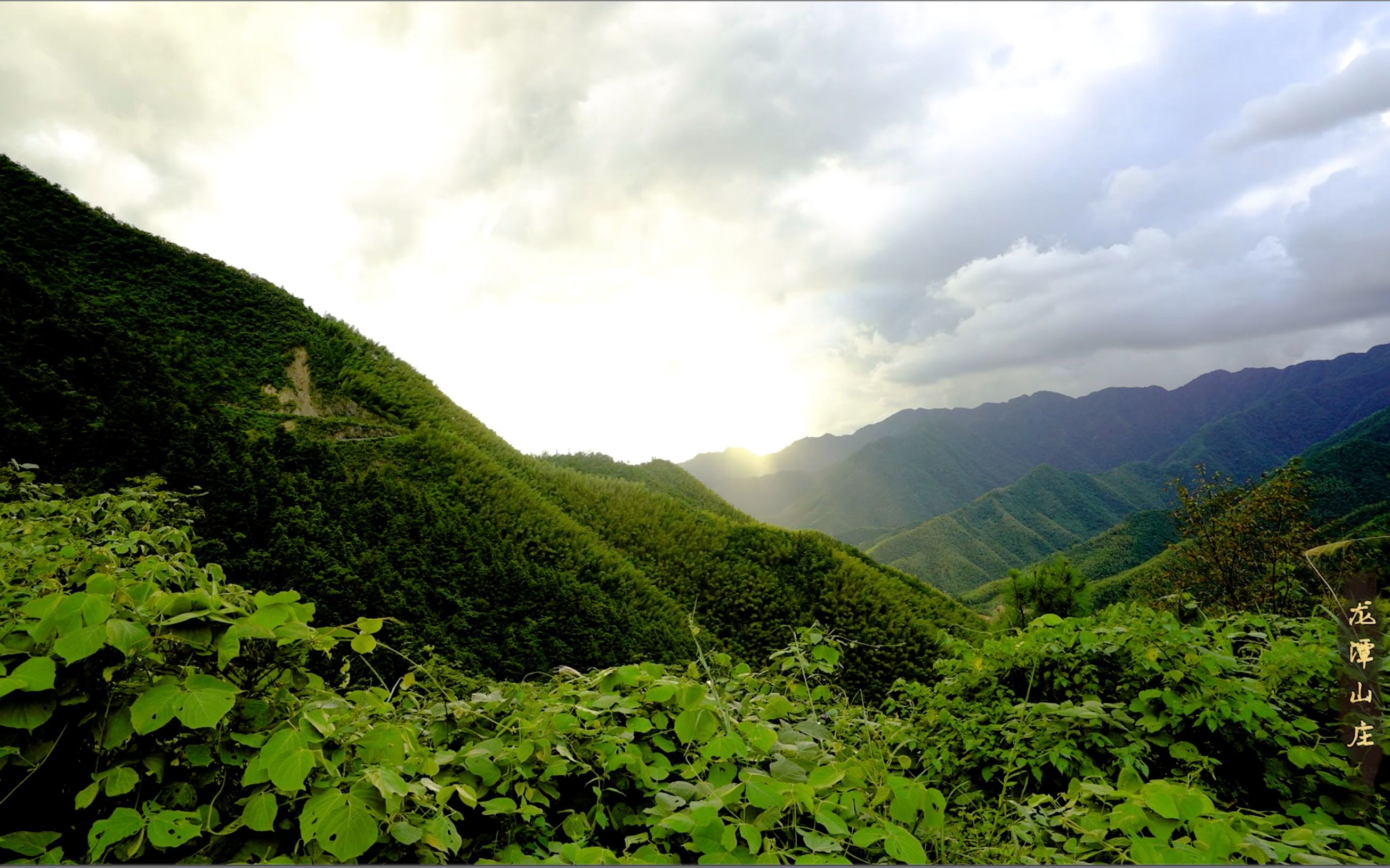 衢州七里龙潭山庄图片