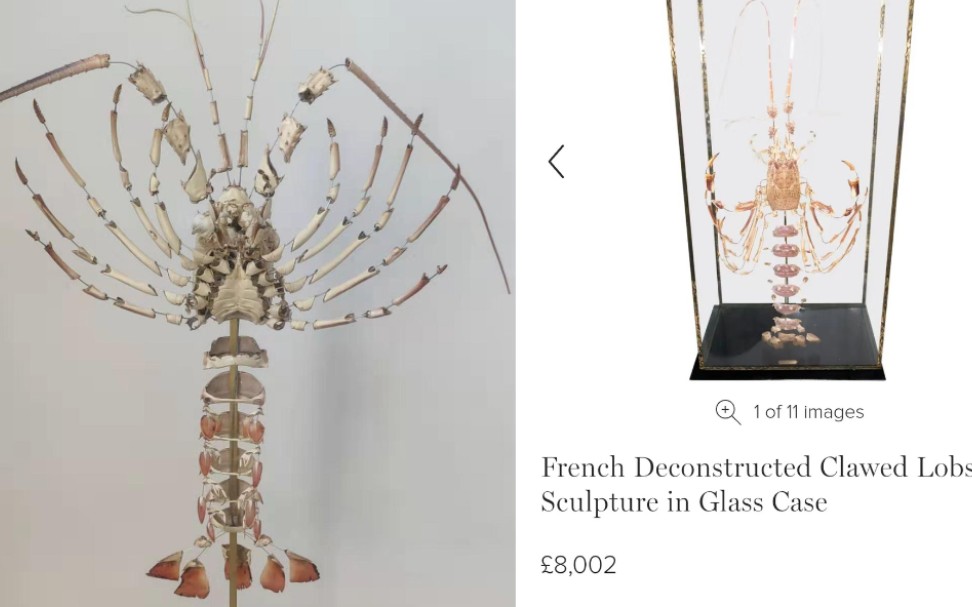 标本复刻国外最高售价8000的龙虾标本类型博切恩