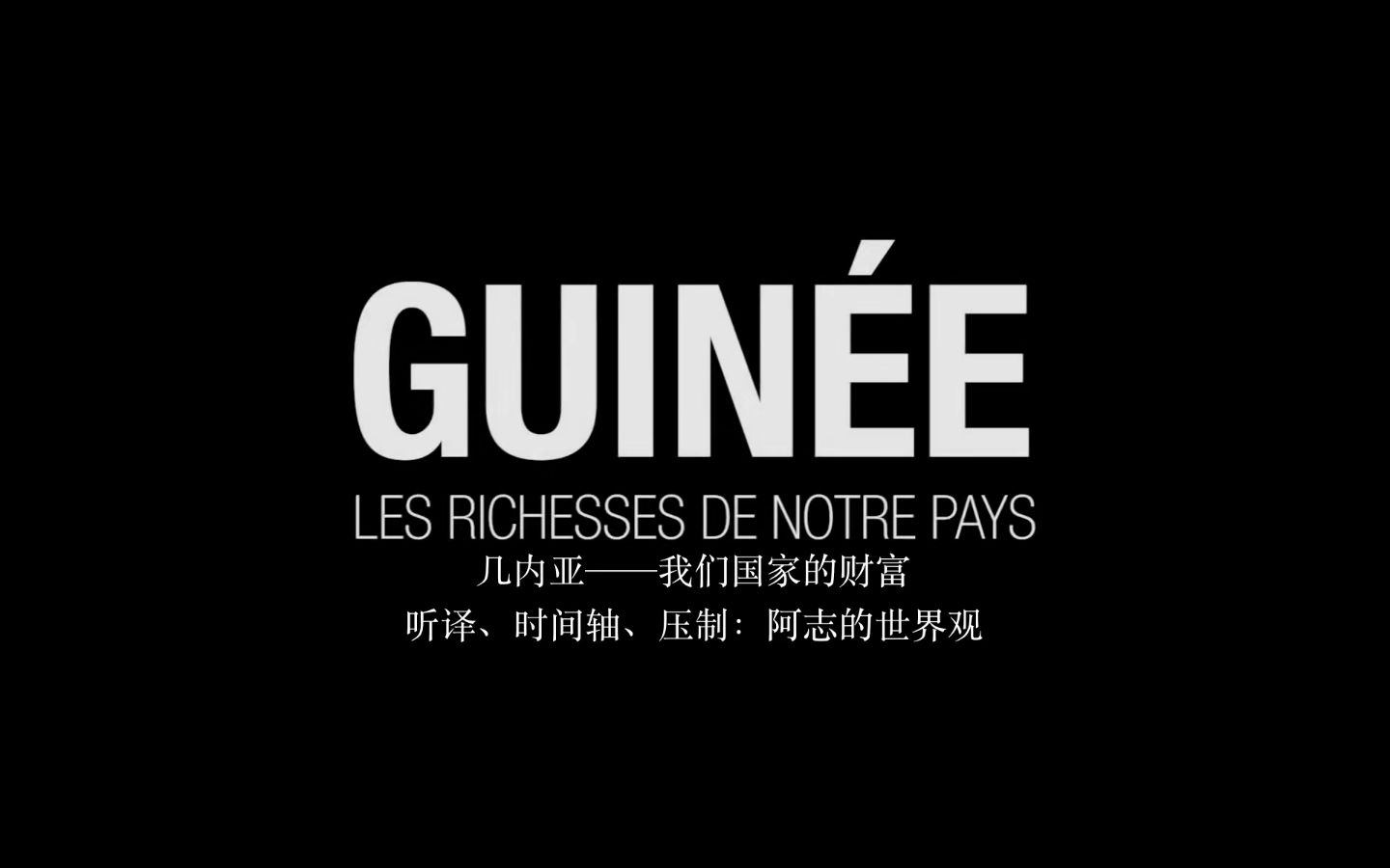 【中法双字】几内亚——我们国家的财富(2017)哔哩哔哩bilibili
