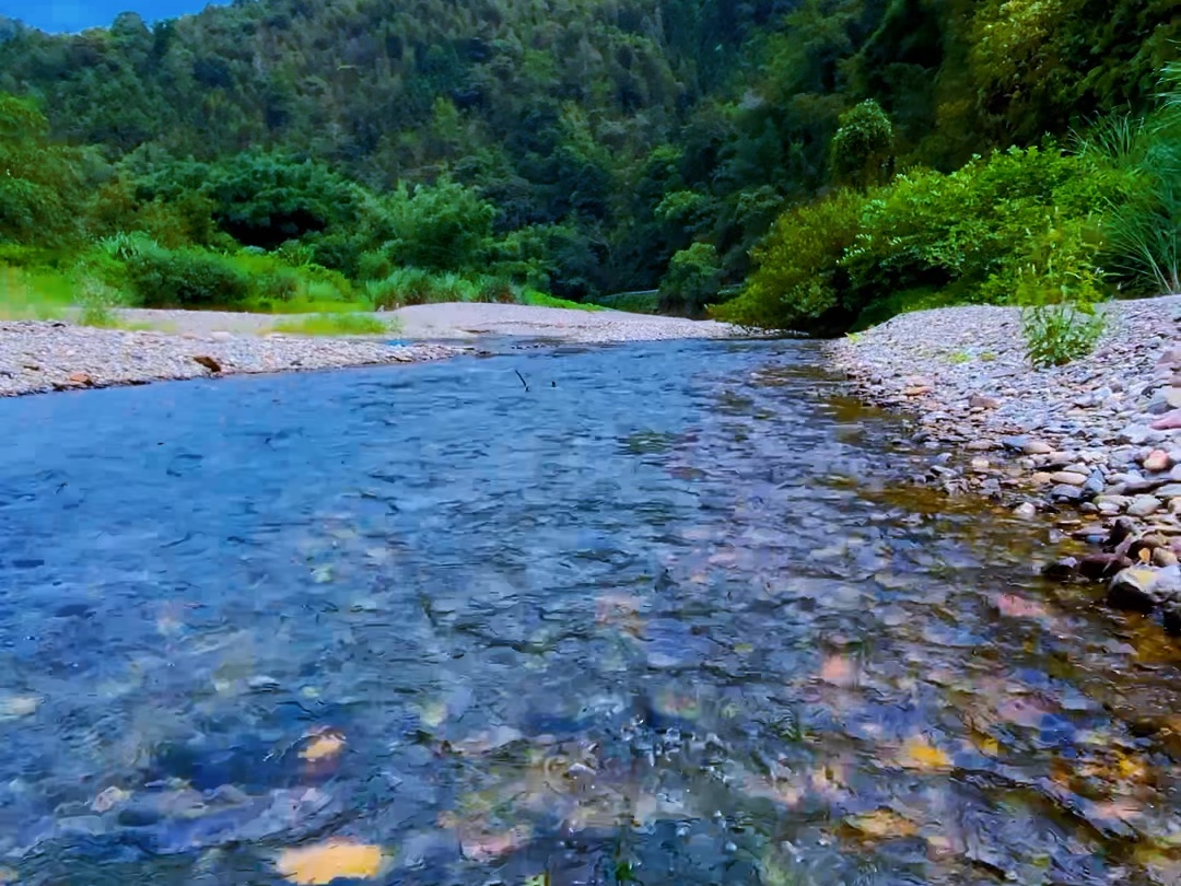 我见青山多妩媚,青山见我你哪位哔哩哔哩bilibili