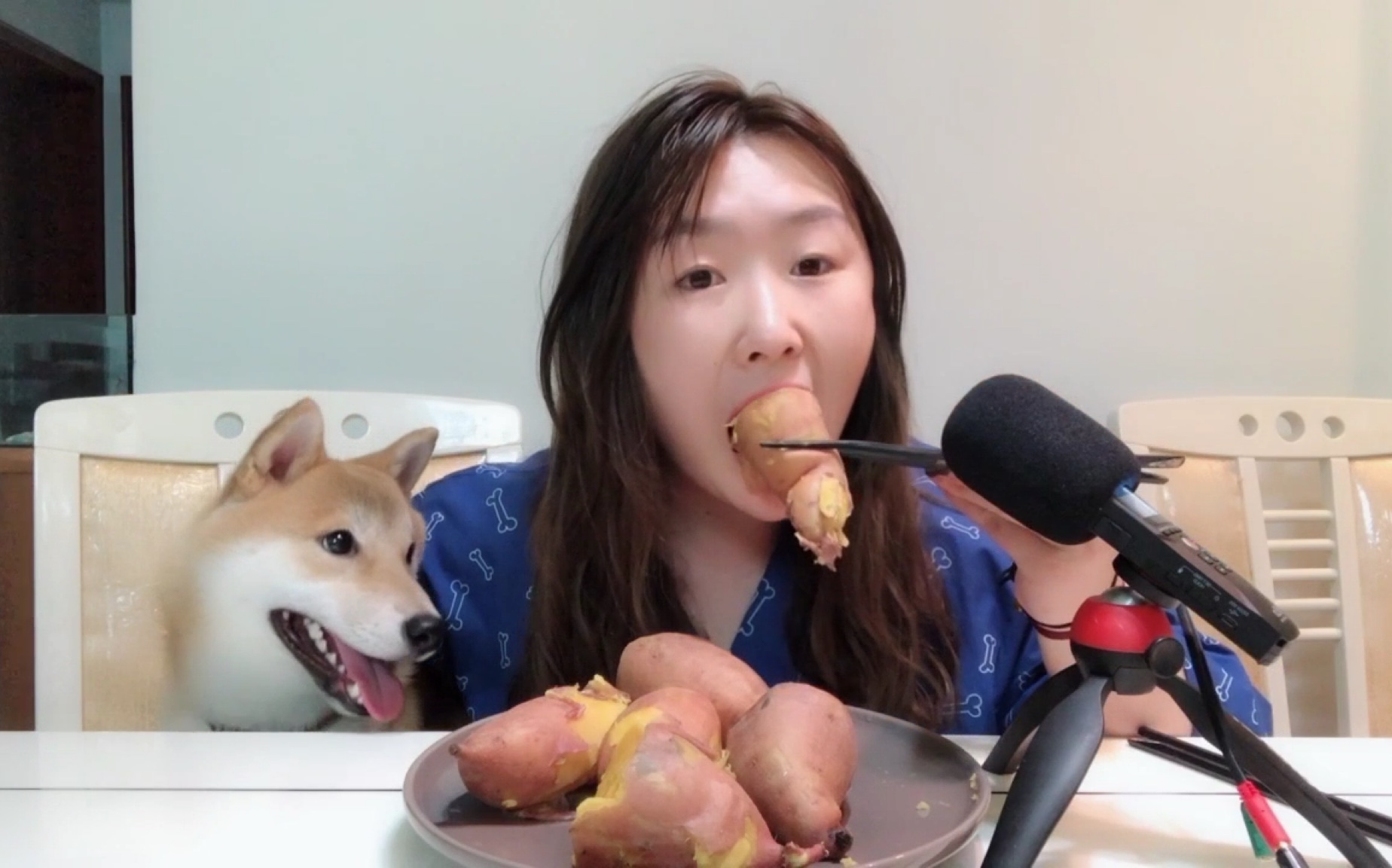 声控吃播#吃完晚上会放屁系列_哔哩哔哩_bilibili