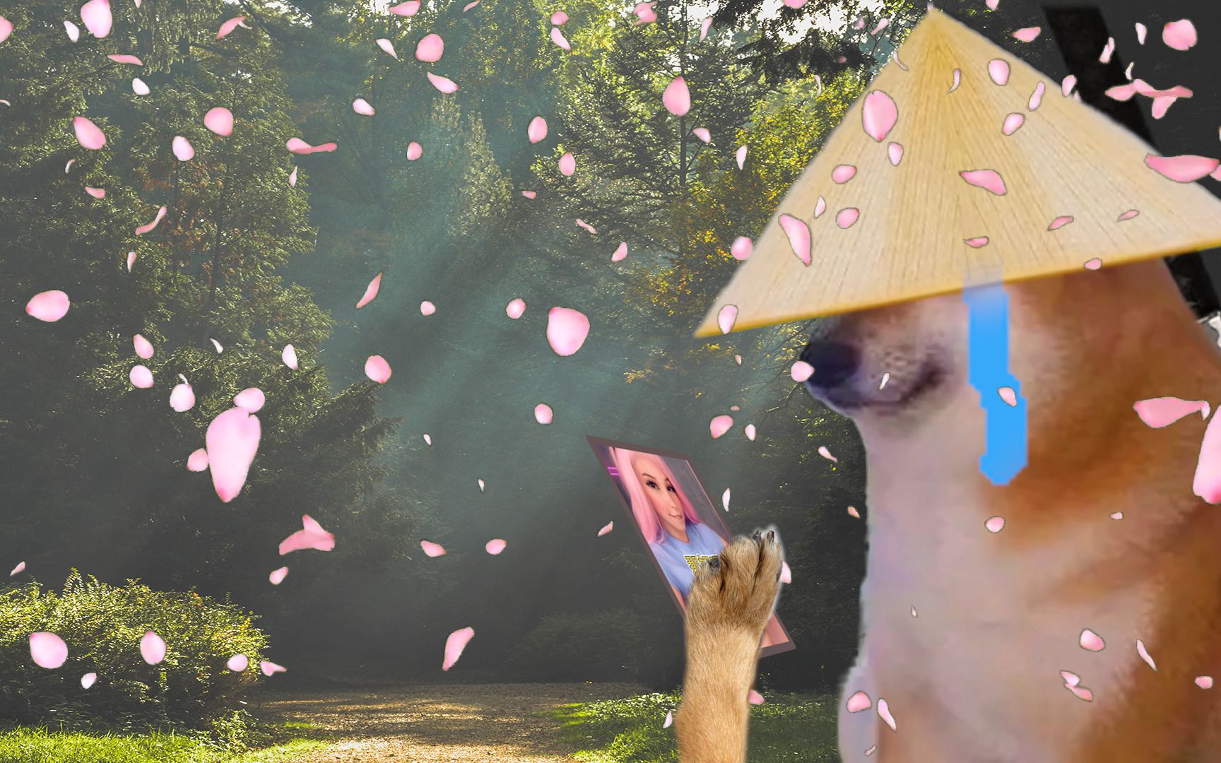 活动  cheems:我还是忍不住