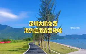 Download Video: 深圳大鹏钓鱼露营赶海天花板，并且停车免费那种