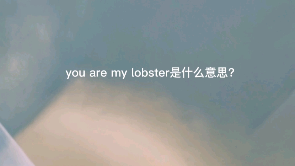 [图]you are my lobster是什么意思？