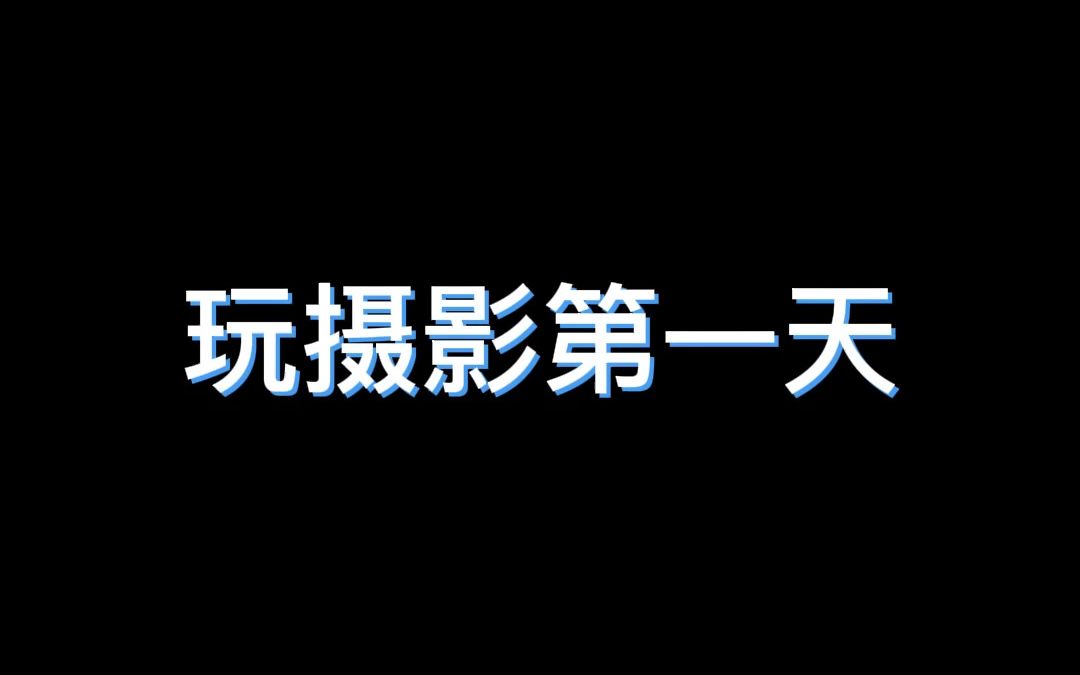 干摄影一天与一年的主要区别哔哩哔哩bilibili